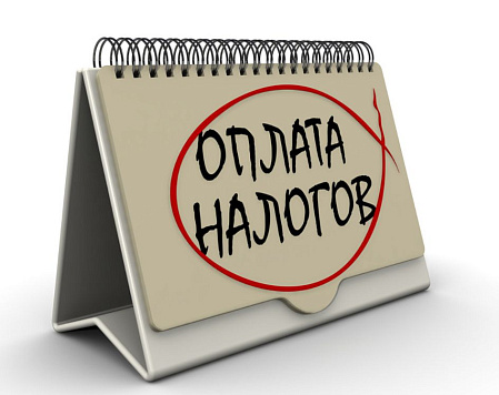 Уплата имущественных налогов 