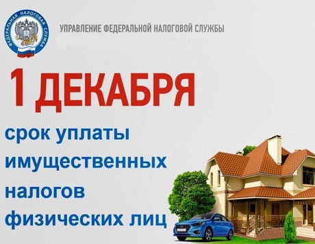 QR-код из сводного уведомления содержит актуальную сумму налогов к уплате