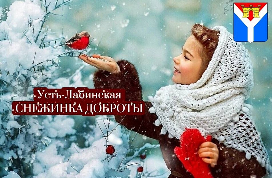 Снежинка Доброты 