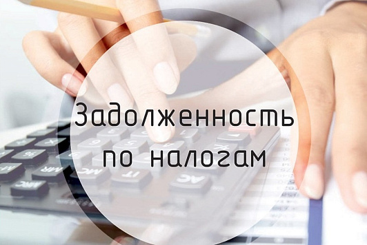 еуплаченные в установленный срок суммы налогов признаются задолженностью