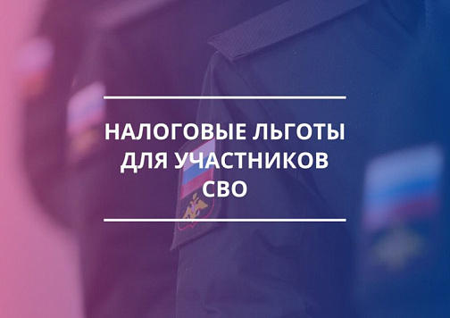 Рассказываем о льготе по транспортному налогу для ветеранов боевых действий, участников СВО и членов их семей