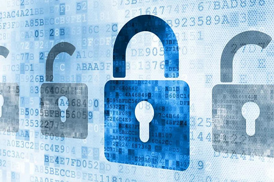 Узнать о заблокированных счетах поможет интернет-сервис ФНС России