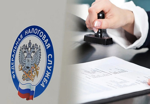 Как направить запрос в налоговый орган.