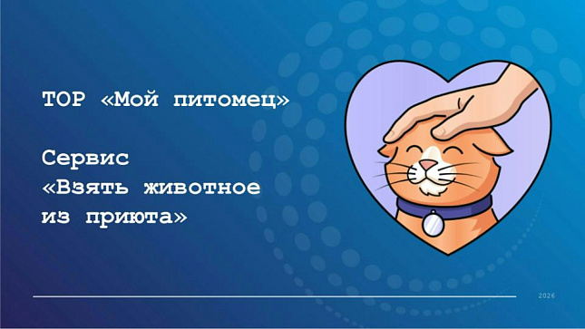ТОР "Мой питомец" сервис "Взять животное из приюта"