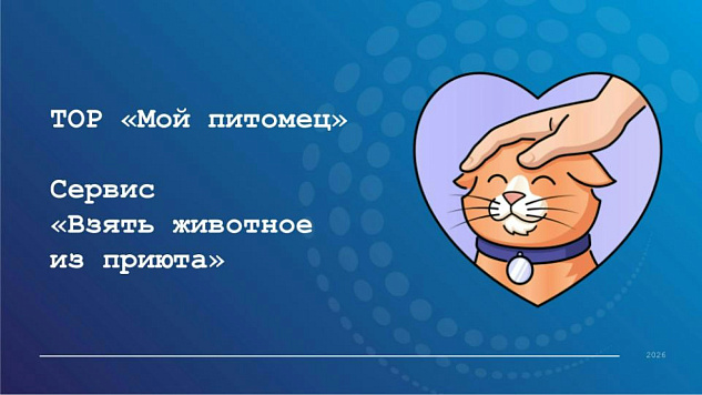 ТОР "Мой питомец" сервис "Взять животное из приюта"
