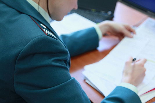 Инспекцией проводятся «бездекларационные» камеральные проверки