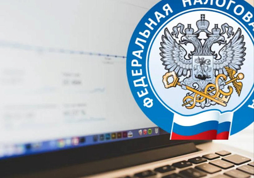 Как получить справку об отсутствии статуса индивидуального предпринимателя