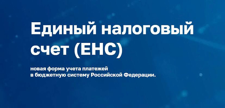 Разобраться с уплатой налогов на ЕНС поможет специальный сервис ФНС
