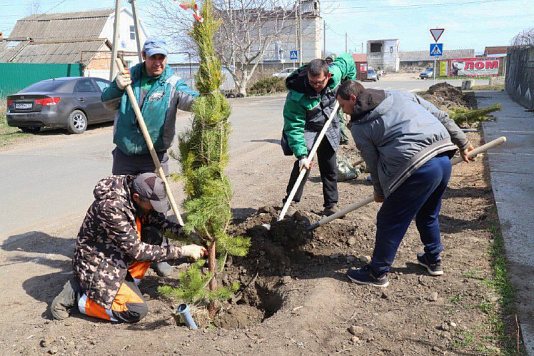 Акция "Сад памяти"