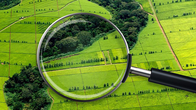 Уведомление о возможности предоставления в аренду земельных участков с учтенными агролесомелиоративными насаждениями