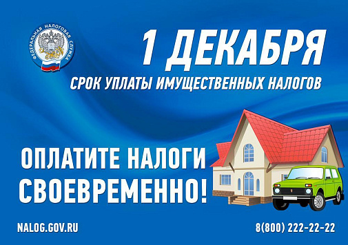 1 декабря – единый срок уплаты