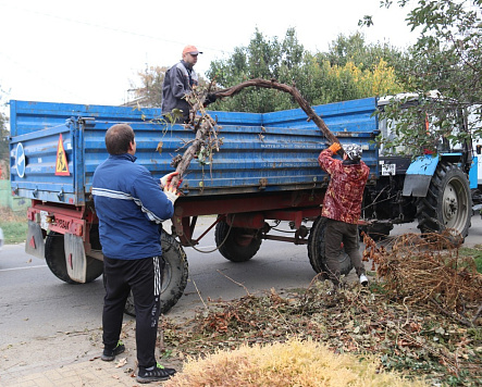 Сотрудники МКУ "Чистый город"