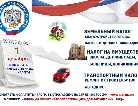 1 декабря – единый срок уплаты имущественных налогов