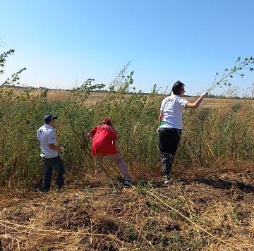 Рейдовой группой были выявлены и уничтожены