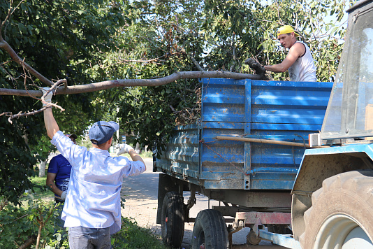 Сотрудники администрации и подведомственных учреждений города