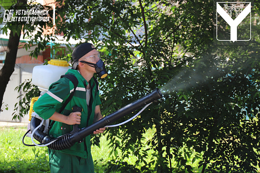 Обработка деревьев от вредителей