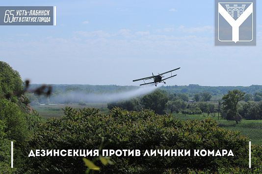 Аккарицидная обработка от личинки комара