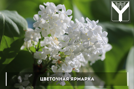 Цветочная ярмарка