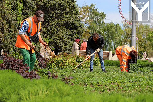 Более 8 000 саженцев высадили в Усть-Лабинске