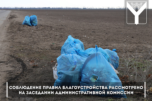 Соблюдение правил благоустройства рассмотрено на заседании административной комиссии