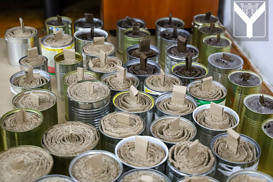 На базе МЦ "Вектор" организовано изготовление окопных свеч для фронта.