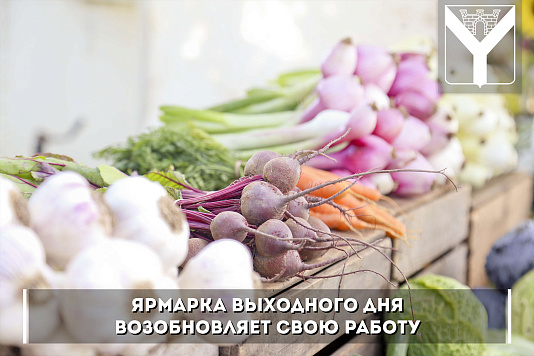 Ярмарка выходного дня возобновляет свою работу