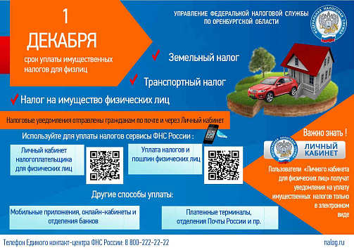 Имущественные налоги