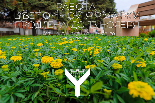 Работа цветочной ярмарки продлена до 13 ноября