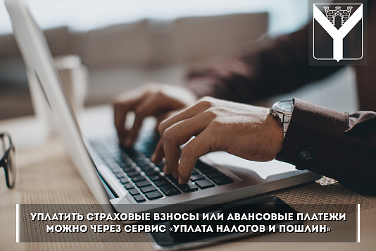 Уплатить страховые взносы или авансовые платежи можно через сервис