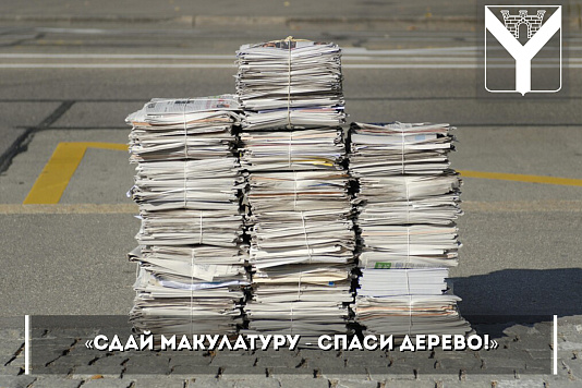 «Сдай макулатуру - спаси дерево!»