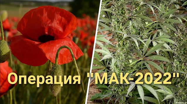 Оперативно-профилактическая операция Мак-2022