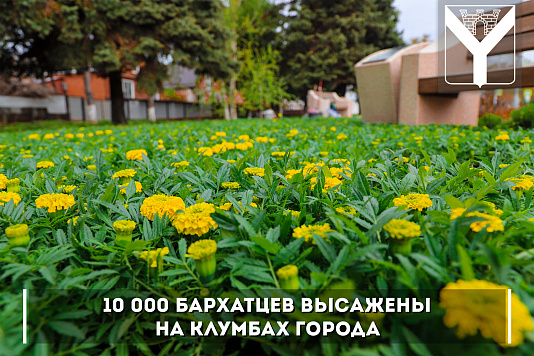 Продолжаем работы по озеленению Усть-Лабинска