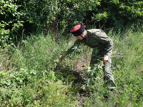 Антинаркотический рейд в рамках межведомственной оперативно-профилактической акции «Мак 2021»