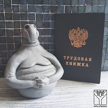 Налоговый режим для самозанятых действует в Краснодарском крае