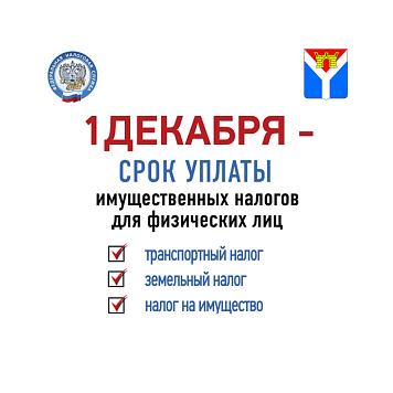 1 декабря - срок уплаты налогов для физических лиц