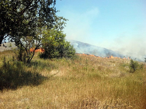 Сильный порывистый ветер и неосторожное обращение с огнём привели к ЧС