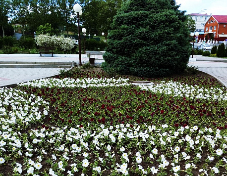 Специалисты продолжают наводить порядок на улицах Усть-Лабинска