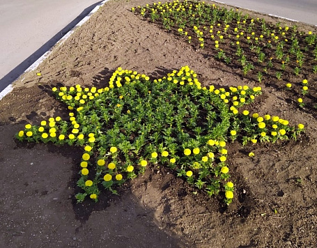 Специалисты продолжают украшать и приводить в порядок улицы Усть-Лабинска