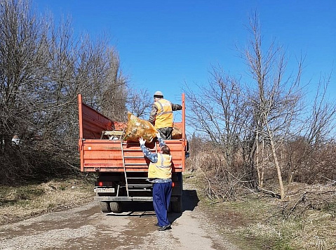 На улицах Усть-Лабинска продолжаются плановая уборка мусора и вырубка поросли