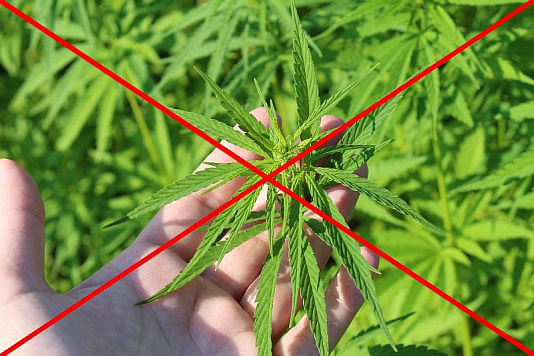 Усть-Лабинск участвует во Всероссийском конкурсе "Спасем жизнь вместе"