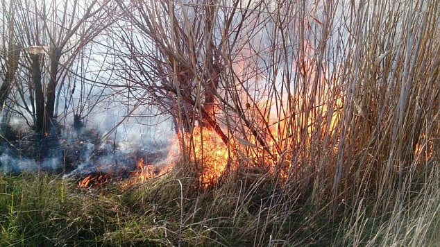 Поджог или неосторожность?