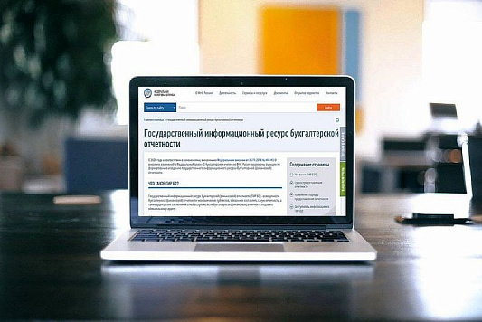 Государственный информационный ресурс бухгалтерской отчетности