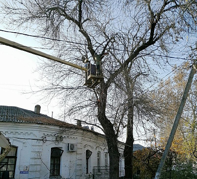 Обрезка аварийных деревьев