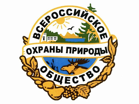 Внимание: конкурс рисунков по охране природы