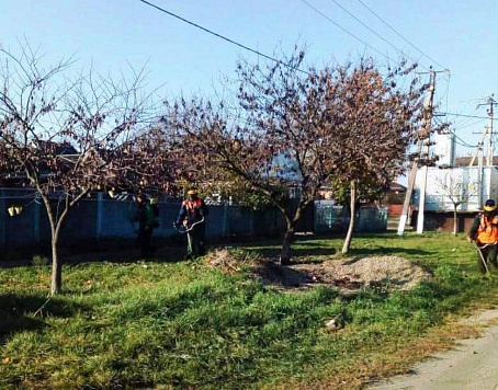 Покос сорной растительности