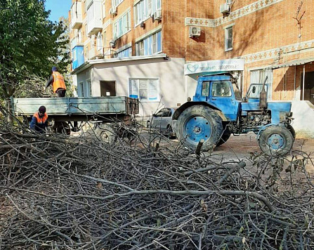 Вывозим ветки